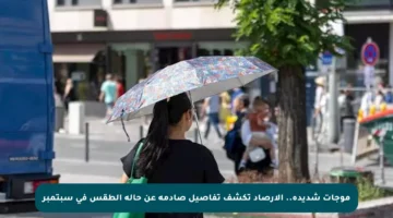 موجات شديدة.. الأرصاد تكشف تفاصيل صادمة عن حالة الطقس في سبتمبر